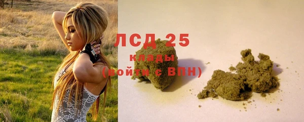 гидра Киренск