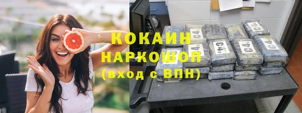молекула духа Киреевск