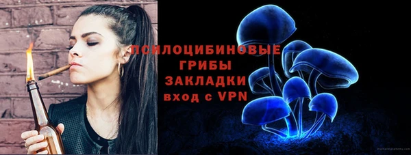 гидра Киренск