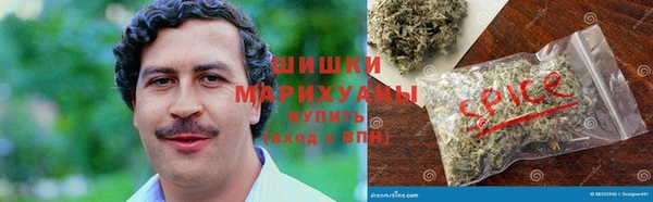 молекула духа Киреевск